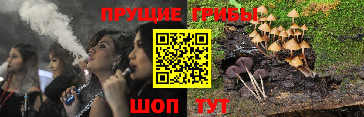 Галлюциногенные грибы MAGIC MUSHROOMS  Вход с VPN  Среднеуральск 